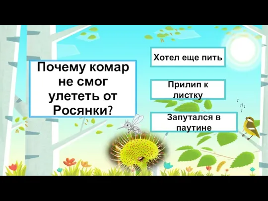 Почему комар не смог улететь от Росянки? Прилип к листку Запутался в паутине Хотел еще пить