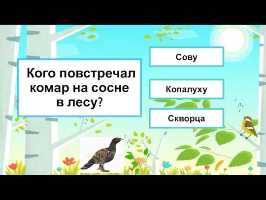 Кого повстречал комар на сосне в лесу? Копалуху Скворца Сову