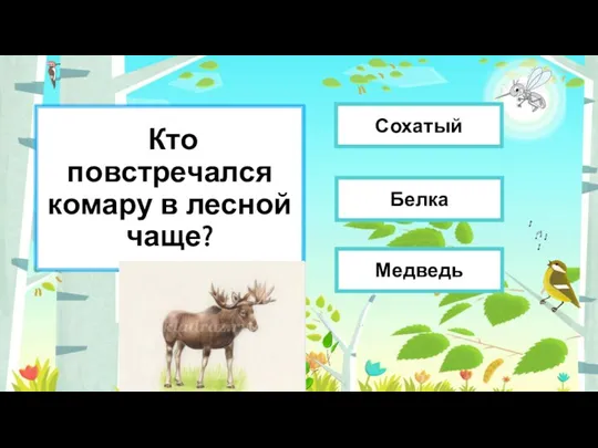 Кто повстречался комару в лесной чаще? Сохатый Белка Медведь