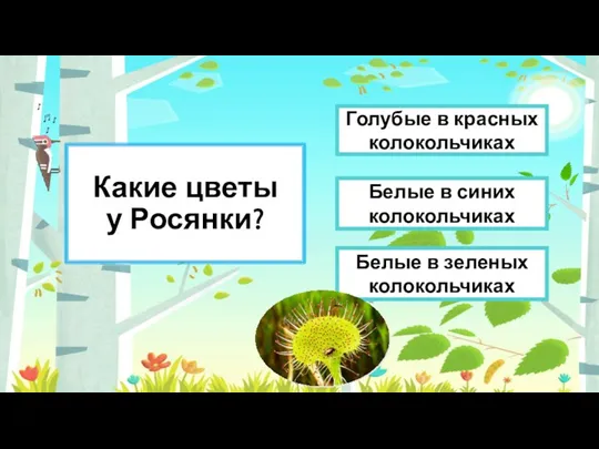 Какие цветы у Росянки? Белые в зеленых колокольчиках Белые в синих колокольчиках Голубые в красных колокольчиках