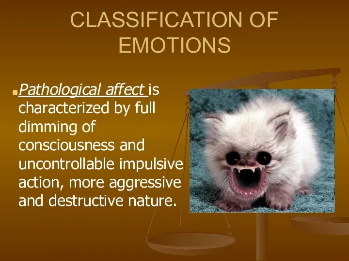 CLASSIFICATION OF EMOTIONS Pathological affect is characterized by full dimming