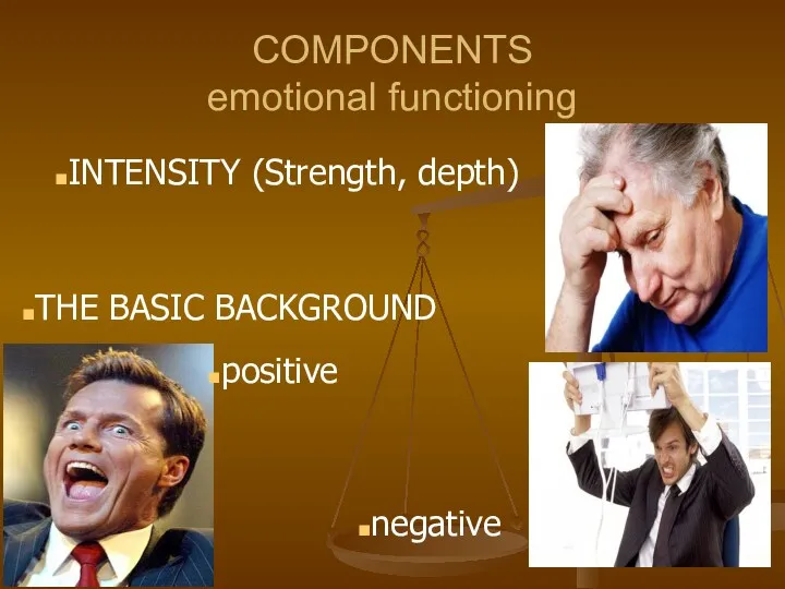 COMPONENTS emotional functioning INTENSITY (Strength, depth) THE BASIC BACKGROUND positive negative