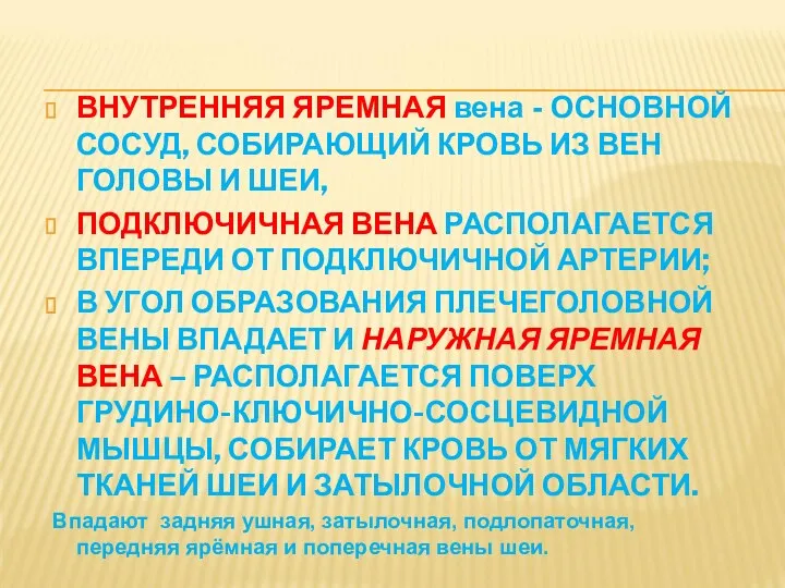 ВНУТРЕННЯЯ ЯРЕМНАЯ вена - ОСНОВНОЙ СОСУД, СОБИРАЮЩИЙ КРОВЬ ИЗ ВЕН