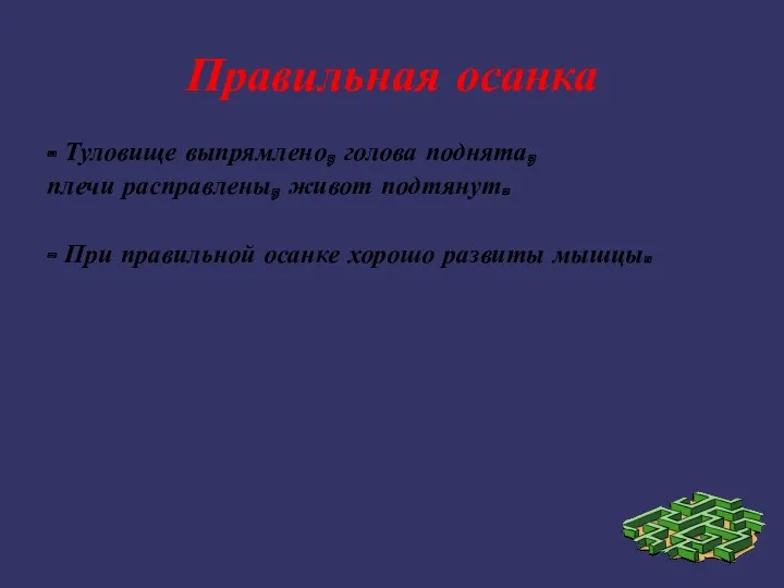 Правильная осанка - Туловище выпрямлено, голова поднята, плечи расправлены, живот