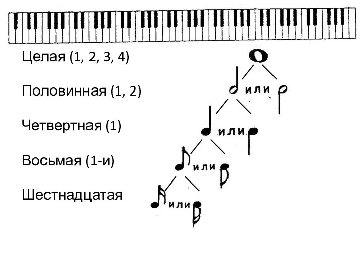 Целая (1, 2, 3, 4) Половинная (1, 2) Четвертная (1) Восьмая (1-и) Шестнадцатая