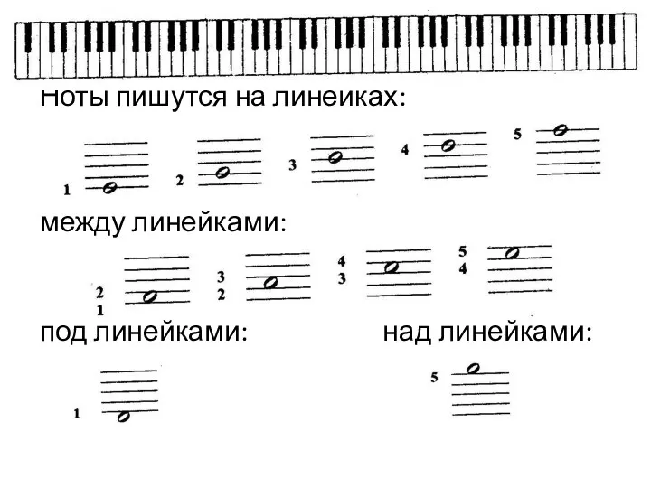 Ноты пишутся на линейках: между линейками: под линейками: над линейками: