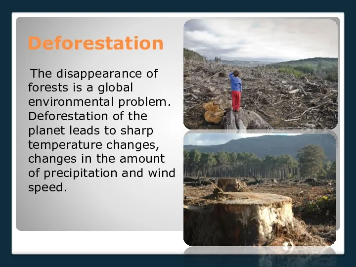 Deforestation The disappearance of forests is a global environmental problem.