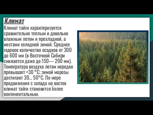 Климат тайги характеризуется сравнительно теплым и довольно влажным летом и