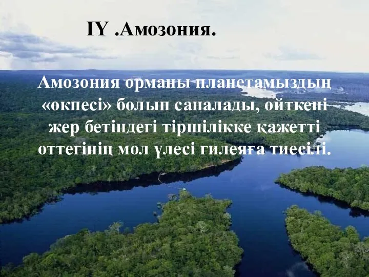 ІҮ .Амозония. Амозония орманы планетамыздың «өкпесі» болып саналады, өйткені жер