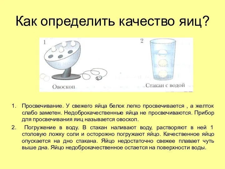 Как определить качество яиц? Просвечивание. У свежего яйца белок легко