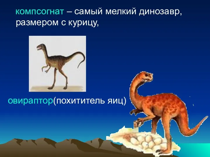 компсогнат – самый мелкий динозавр, размером с курицу, овираптор(похититель яиц)