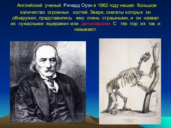 Английский ученый Ричард Оуэн в 1862 году нашел большое количество