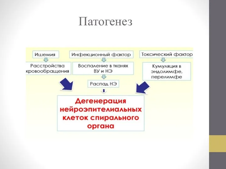 Патогенез