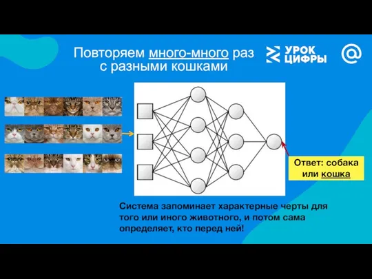 Повторяем много-много раз с разными кошками Ответ: собака или кошка