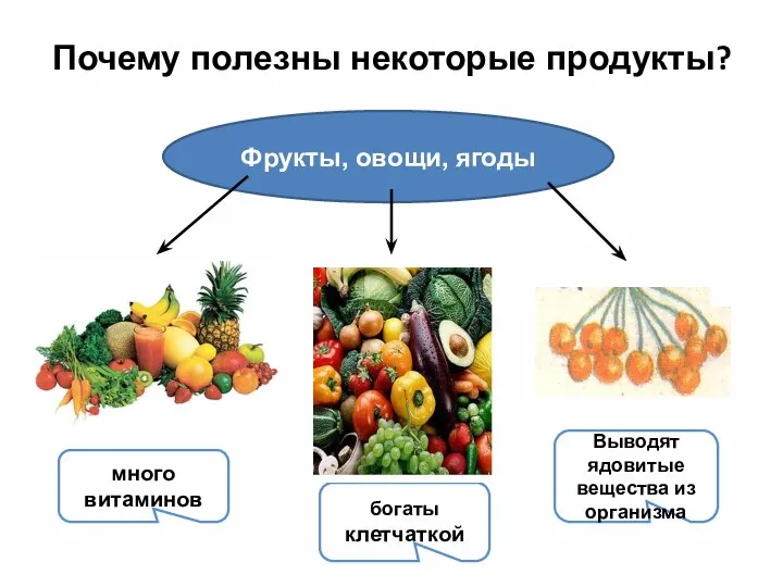 Почему полезны некоторые продукты? Фрукты, овощи, ягоды много витаминов богаты клетчаткой Выводят ядовитые вещества из организма