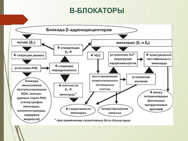 В-БЛОКАТОРЫ