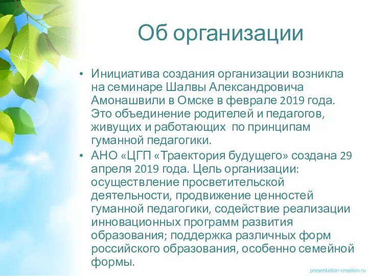 Об организации Инициатива создания организации возникла на семинаре Шалвы Александровича