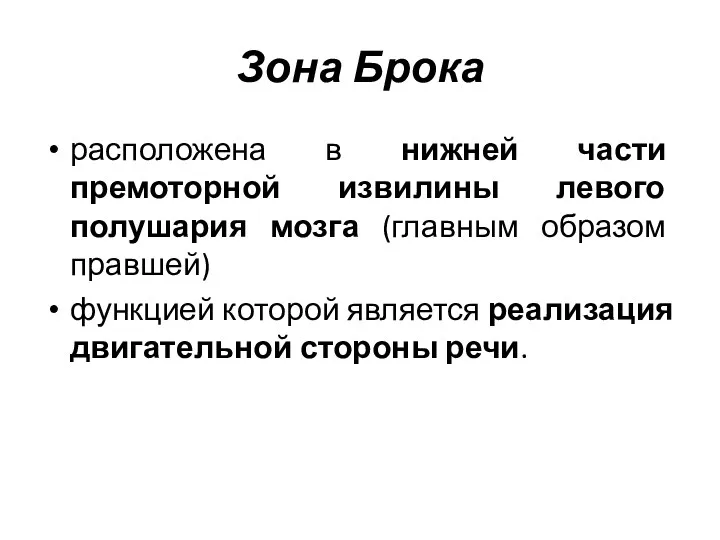 Зона Брока расположена в нижней части премоторной извилины левого полушария