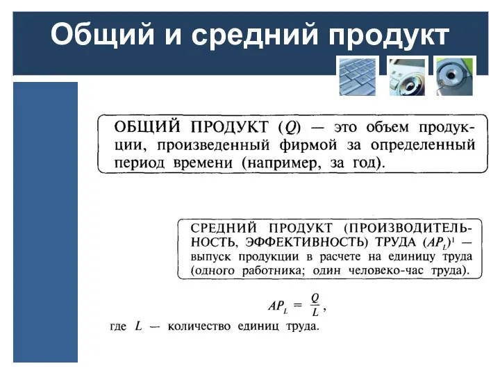 Общий и средний продукт