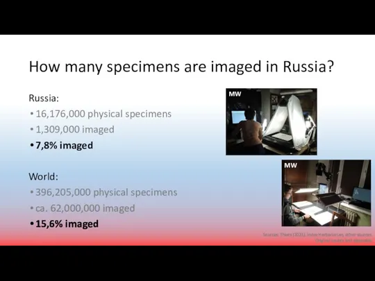 How many specimens are imaged in Russia? Russia: 16,176,000 physical