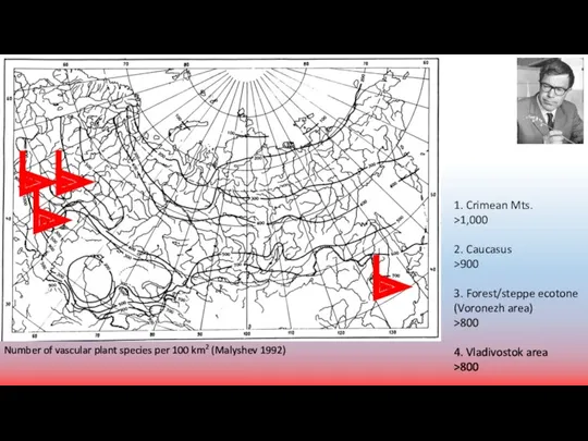 Number of vascular plant species per 100 km2 (Malyshev 1992)