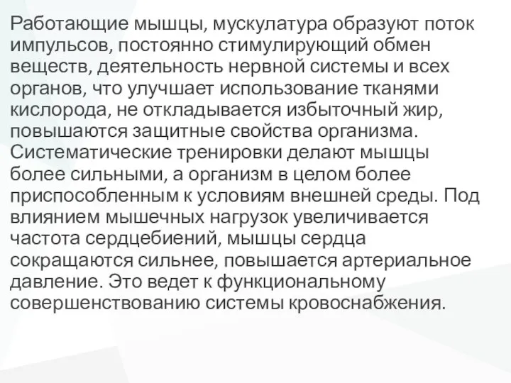 Работающие мышцы, мускулатура образуют поток импульсов, постоянно стимулирующий обмен веществ,