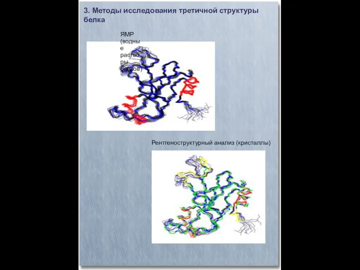 3. Методы исследования третичной структуры белка ЯМР (водные растворы белков) Рентгеноструктурный анализ (кристаллы)