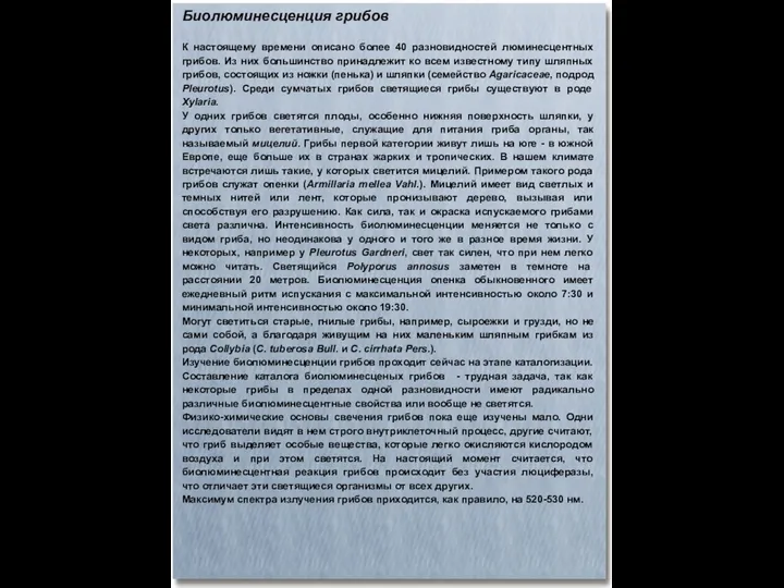 Биолюминесценция грибов К настоящему времени описано более 40 разновидностей люминесцентных