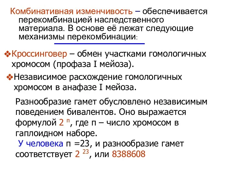 Комбинативная изменчивость – обеспечивается перекомбинацией наследственного материала. В основе её лежат следующие механизмы