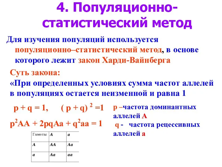 4. Популяционно- статистический метод Для изучения популяций используется популяционно–статистический метод, в основе которого