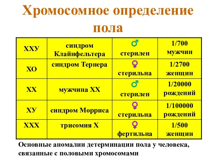 Хромосомное определение пола Основные аномалии детерминации пола у человека, связанные с половыми хромосомами