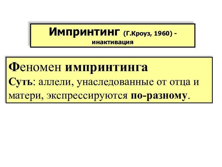 Феномен импринтинга Суть: аллели, унаследованные от отца и матери, экспрессируются по-разному. Импринтинг (Г.Кроуз, 1960) - инактивация