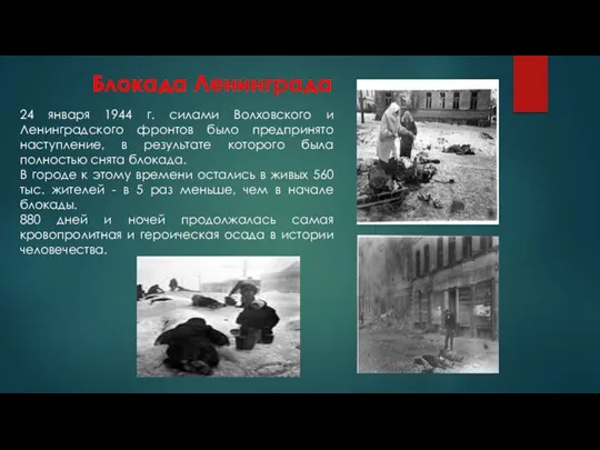 24 января 1944 г. силами Волховского и Ленинградского фронтов было предпринято наступление, в