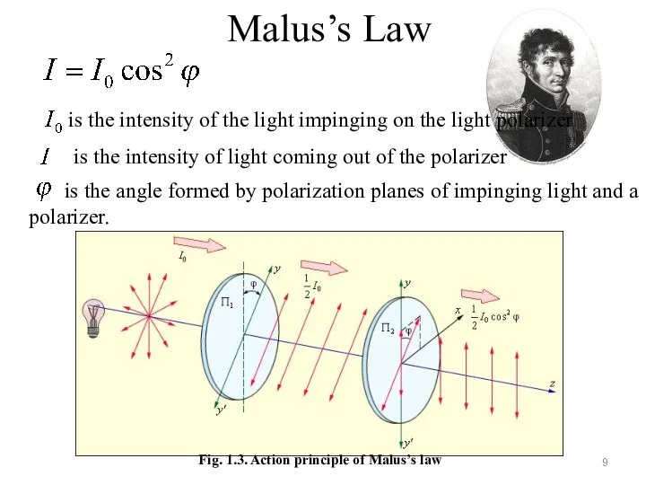 Malus’s Law Fig. 1.3. Action principle of Malus’s law is