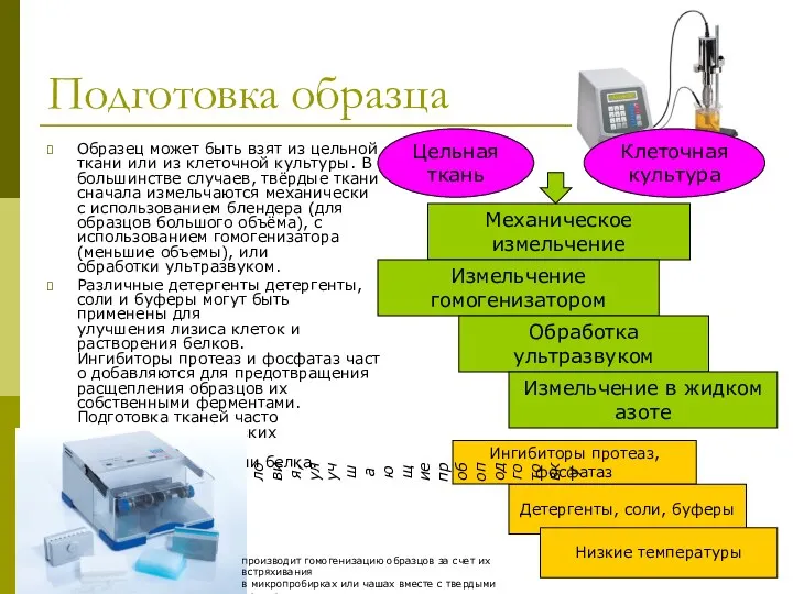 Подготовка образца Образец может быть взят из цельной ткани или