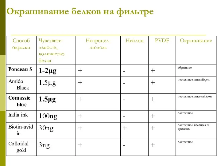 Окрашивание белков на фильтре