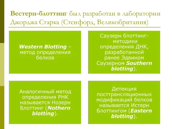 Вестерн-блоттинг был разработан в лаборатории Джорджа Старка (Стенфорд, Великобритания)