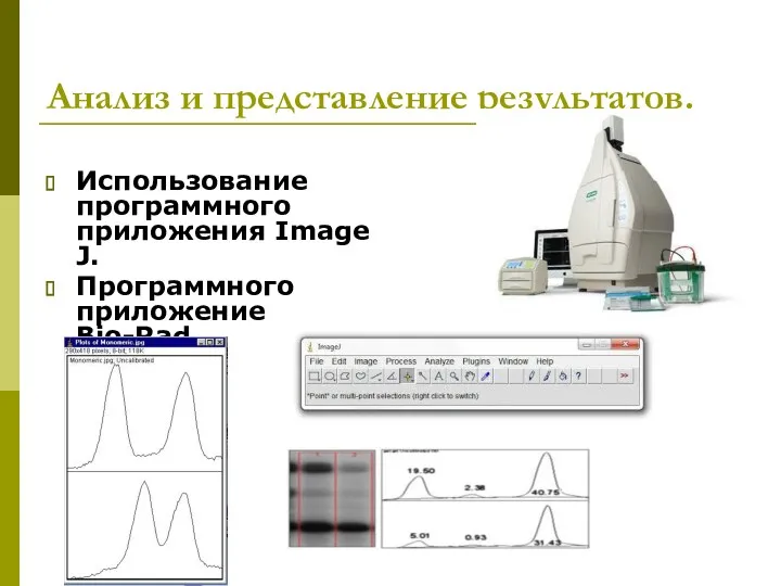 Анализ и представление результатов. Использование программного приложения Image J. Программного приложение Bio-Rad