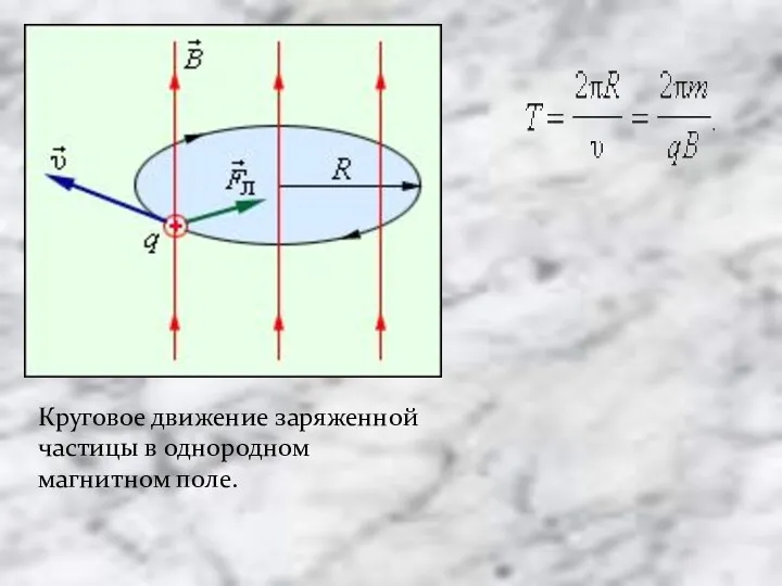 Круговое движение заряженной частицы в однородном магнитном поле.