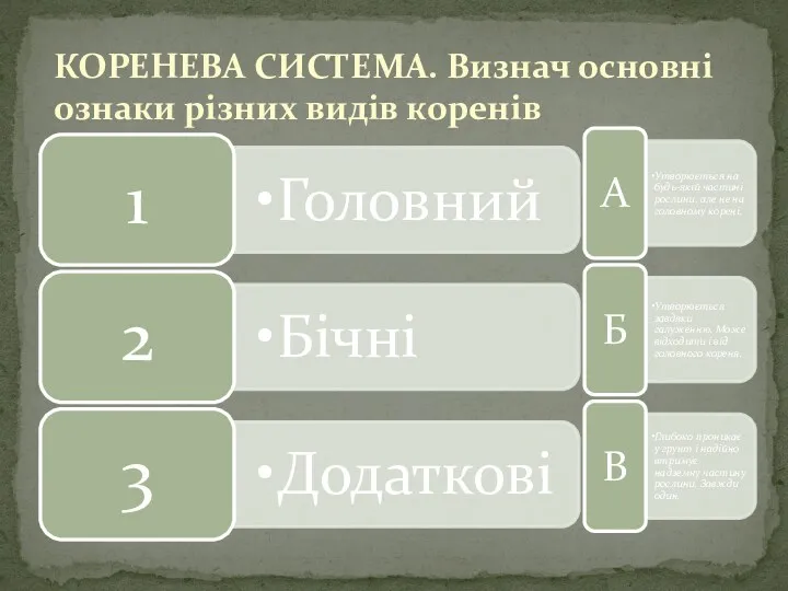 КОРЕНЕВА СИСТЕМА. Визнач основні ознаки різних видів коренів