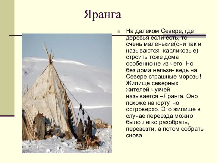 Яранга На далеком Севере, где деревья если есть, то очень маленькие(они так и