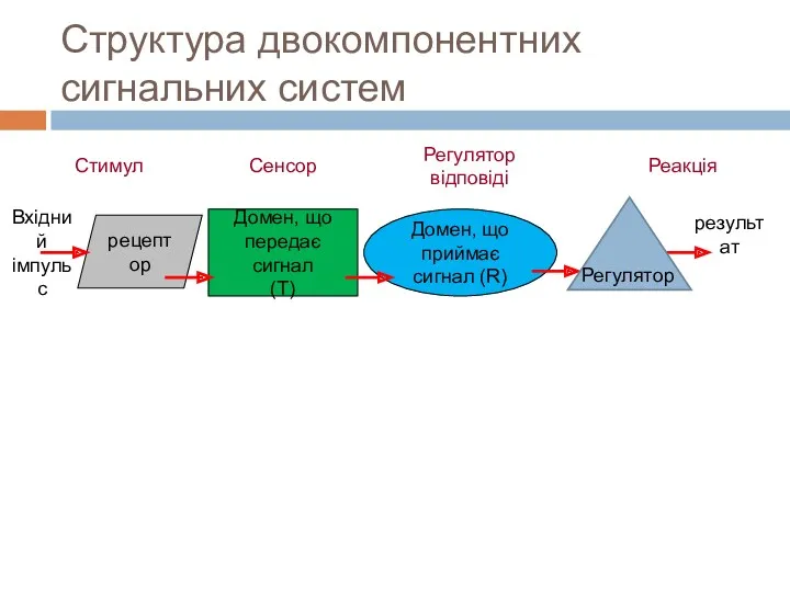 Структура двокомпонентних сигнальних систем Стимул Домен, що передає сигнал (Т)