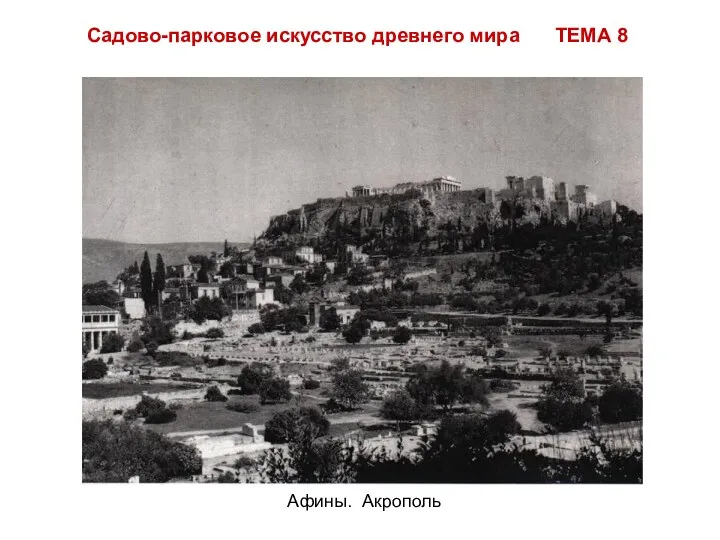 Садово-парковое искусство древнего мира ТЕМА 8 Афины. Акрополь