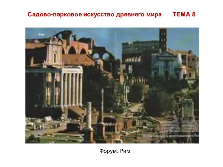 Садово-парковое искусство древнего мира ТЕМА 8 Форум. Рим