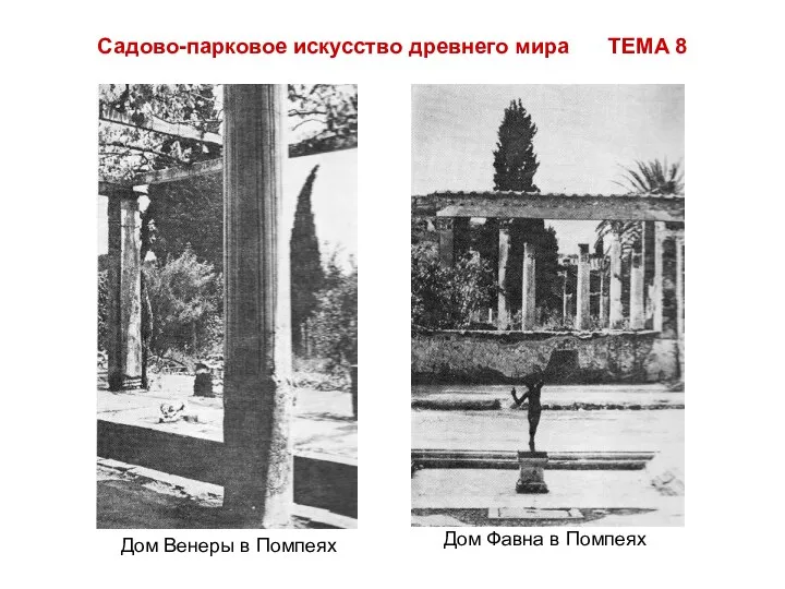 Садово-парковое искусство древнего мира ТЕМА 8 Дом Венеры в Помпеях Дом Фавна в Помпеях