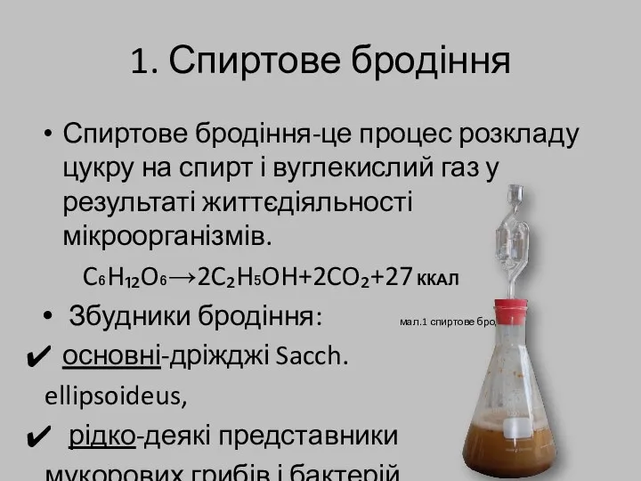 1. Спиртове бродіння Спиртове бродіння-це процес розкладу цукру на спирт