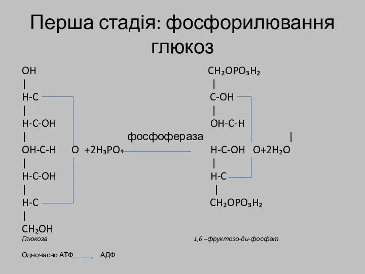 Перша стадія: фосфорилювання глюкоз OH CH₂OPO₃H₂ | | H-C C-OH