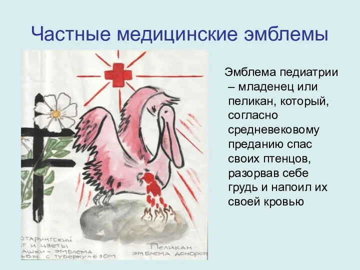 Частные медицинские эмблемы Эмблема педиатрии – младенец или пеликан, который,