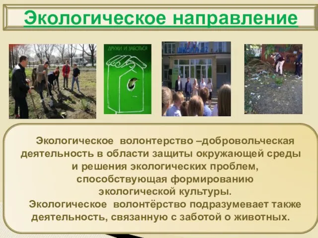 Экологическое волонтерство –добровольческая деятельность в области защиты окружающей среды и