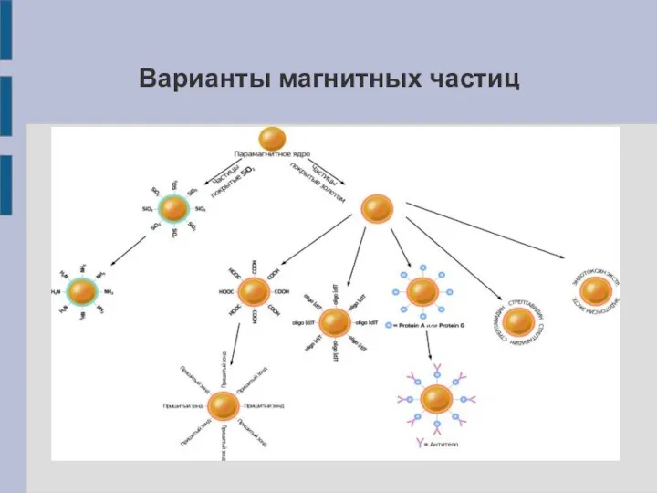 Варианты магнитных частиц